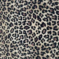 Leopard Print In Kasturi Crep Fabric - Image 3